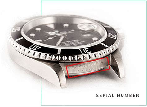 rolex daytona ceramic serial number|rolex serial number lookup authenticity.